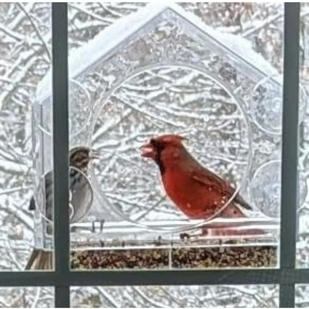 Transparent Acrylic Window Bird Feeders for Outdoors - Enhanced Suction Grip